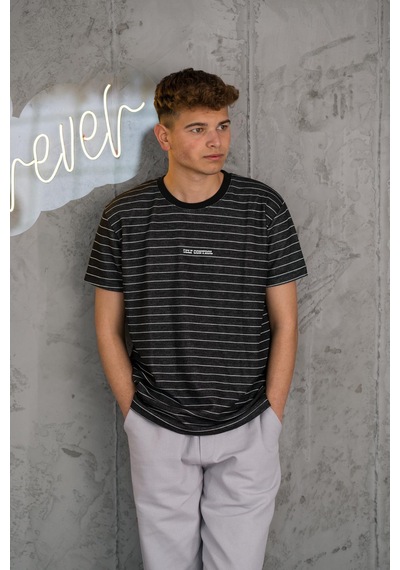 Reguler Fit Bisiklet Yaka Likralı Çizgili Erkek Yazlık T-shirt 001