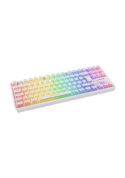Zephyra Tkl Rgb Beyaz Sessiz Türkçe Q Gaming Klavye Keyboard Oyuncu Klavyesi Kompakt Profesyonel