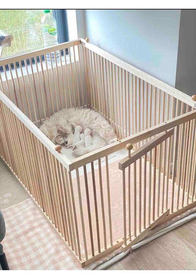 SIK ARALIKLI KÖPEK ÇİTİ YÜKSEKLİK 50 CM