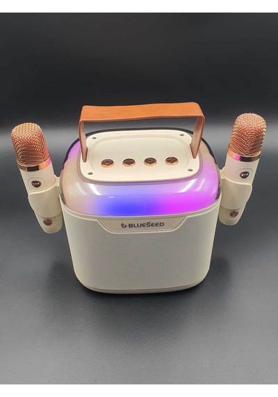 Bs-601 Bluetooth Wıreless Speaker & Karaoke Mıcrophones 13w - Beyaz
