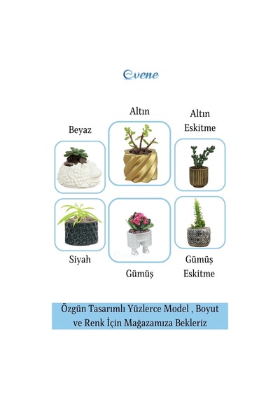 Kaktüs Saksısı Dekoratif Saksı Model 14 - Altın