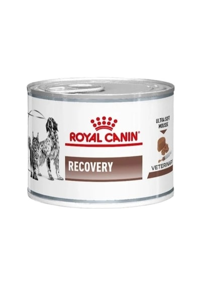 Royal Canin Recovery Yoğun Bakım Ve İyileşme Dönemi Kedi Köpek Maması 195 Gr