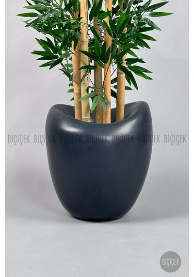 Zen Bambu Ağacı 240 Cm Antresit Bone Saksıda