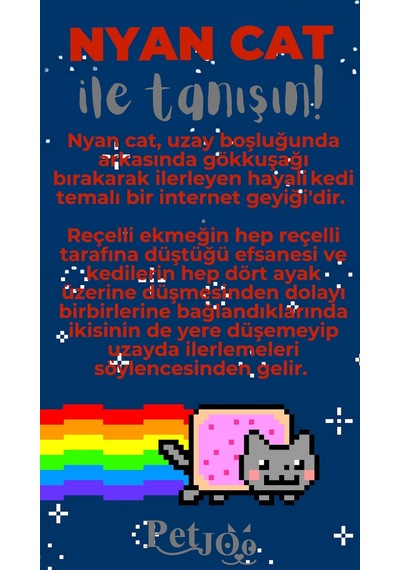 Petjoo 2.Nyan Cat Gri-Kırmızı Qr'lı Kedi Künyesi