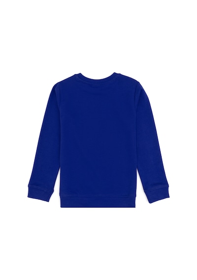 U.S. Polo Assn. Erkek Çocuk Mor Bisiklet Yaka Basic Sweatshirt 50313979-VR038 U.S. Polo Assn. Erkek Çocuk Mor Bisiklet Yaka Basic Sweatshirt 50313979-VR038