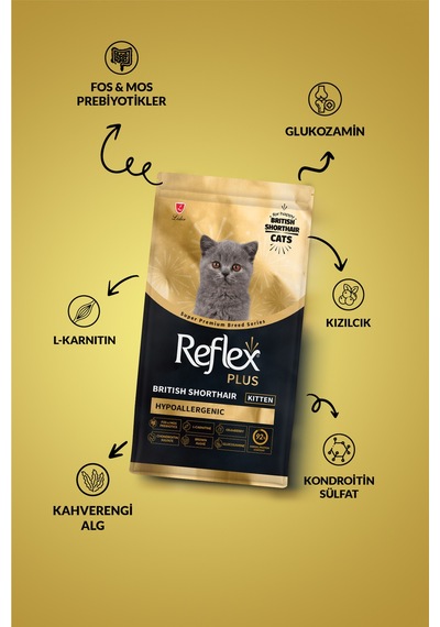 Reflex Plus British Shorthair Hipoalerjenik Yavru Kedi Maması 1,5 Kg