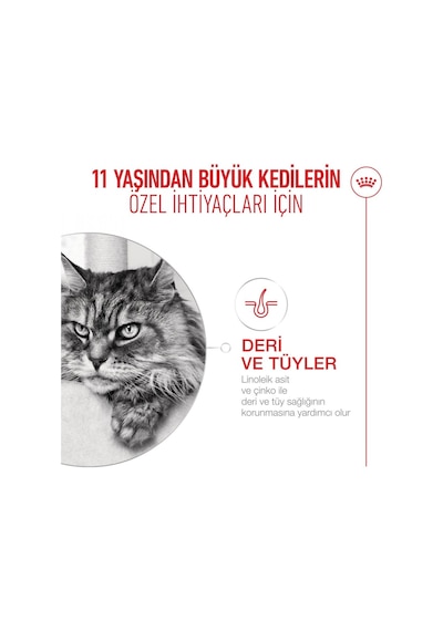 Royal Canin Senior  12+ Yaşlı Kedi Maması 2 KG