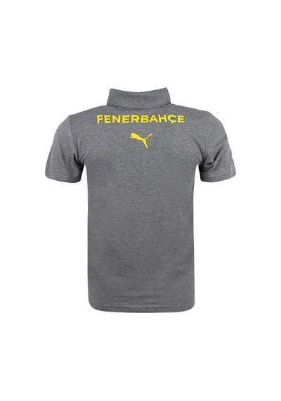 Fenerium Fenerbahçe Lisanslı Gri T-shirt Tk Gri - Lacivert