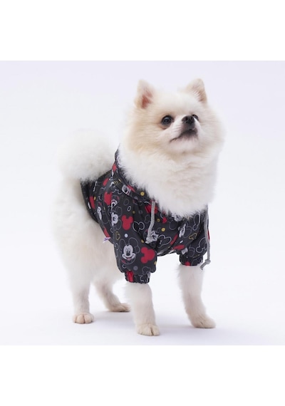 Pettrend Mickey Mouse Mont Köpek Kıyafeti Köpek Yağmurluğu