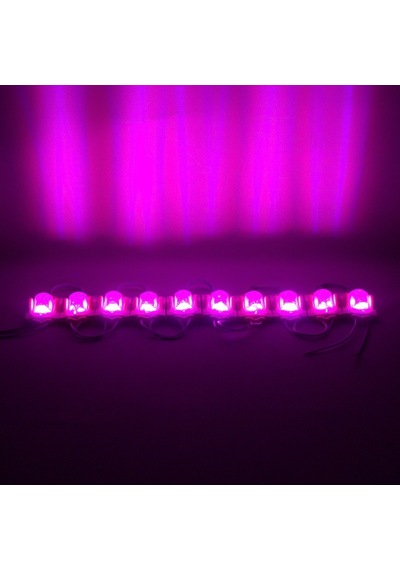 Powermaster Modül Led 24v 1.4w Pembe 48x30 Mm 2835