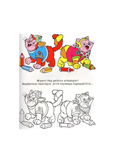 Keşfet ve Boya Kediler- Parıltı Yayınları
