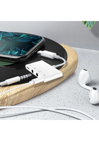 Ally Apple Uyumlu iPhone 11-11 Pro-XS-XR-7-8 4 In 1 OTG Ses Adaptörü Çift DC