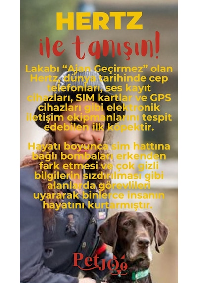 Petjoo 26.Hertz Kırmızı-Sarı Qr'lı Köpek Künyesi