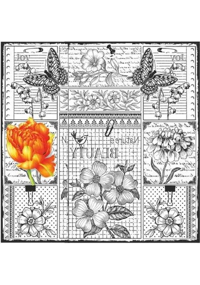 Artebella 5836v Home Design Kolay Transfer 25x25 Cm
