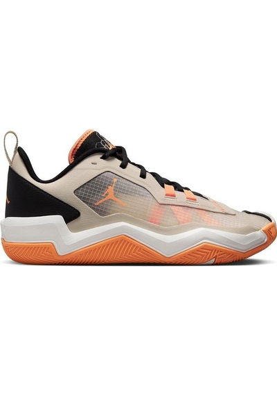 Nike Jordan One Take 4 Erkek Bej Basketbol Ayakkabısı Do7193-200 Çok Renkli