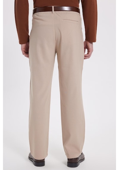 Tudors Erkek Regular Fit Klasik Kesim Normal Bel Geniş Paça Taş Pantolon-40342 Taş