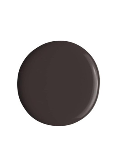 Alix Avien Kahverengi Oje 53 Yüksek Pigmentli Uzun Süreli Kalıcılık Hızlı Kuruma Nail Lacquer 53