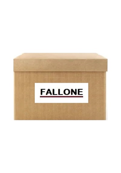 Fallone 6645 Yag Pompasi 150002040r