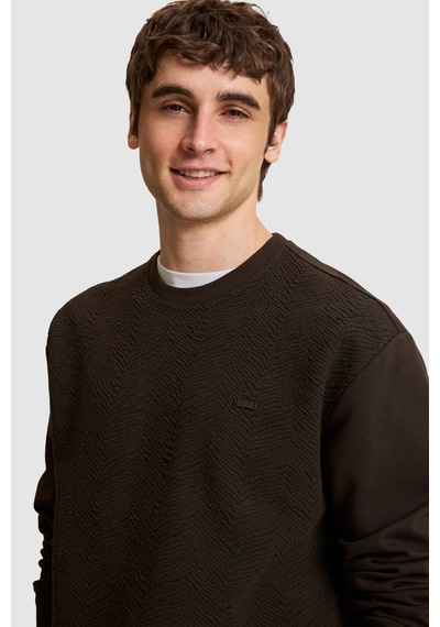 U.S. Polo Assn. Erkek Koyu Kahverengi Sweatshirt 50329411-vr084