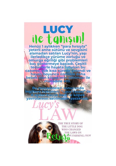 Petjoo 11.Lucy Yeşil-Mavi Qr'lı Köpek Künyesi