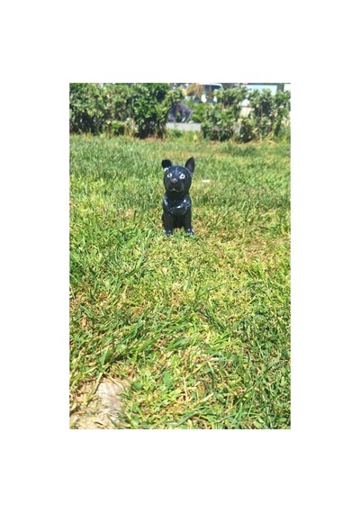 El Yapımı Polyester Köpek Biblosu,siyah Kurt Köpeği Biblosu, Dekoratif Polyester Kurt Köpek Objesi,