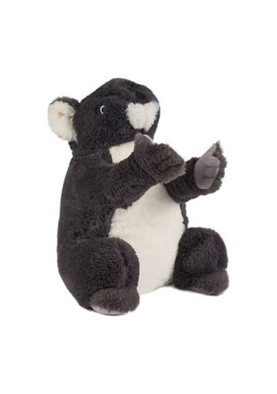 0785 Gri Renk Koala Açık Bej