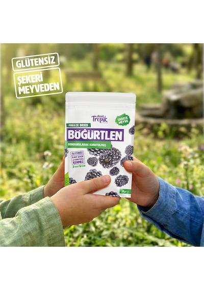Dondurularak Kurutulmuş Böğürtlen 18 G Freeze Dried Meyve Cipsi Çıtır Meyve Kurusu 4 Adet