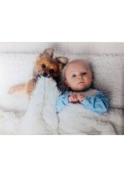 Globo Giochi 1000 Parça Puzzle - Baby And Dog
