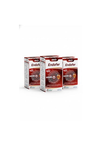 Nbt Life Endofer 30 Kapsül 3 Lü Set