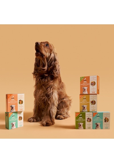 Kito Kuzu Etli Yavru Köpek Maması 2500 G + Kito Fresh Hindi Etli Köpek Yemeği 6'lı