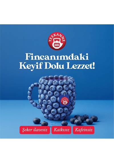Teekanne Yaban Mersini Karışık Bitki Çayı 29484083