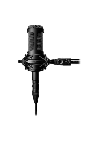 Audio-technica At2050 Çoklu-patern Kapasitif Mikrofon