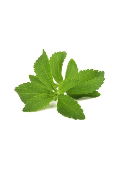 Stevia Tohumu Şeker Otu Tohumu 50 Adet Tohum