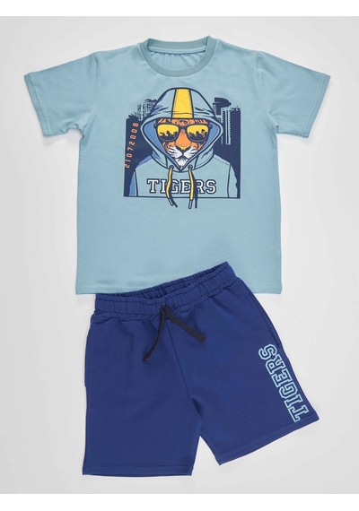 Denokids Mshb&g Tigers Erkek Çocuk T-shirt Şort Takım Çok Renkli