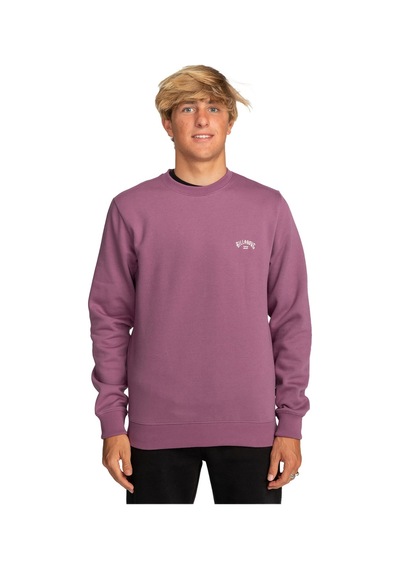 Billabong Arch Erkek Sweatshirt Mor Çok Renkli