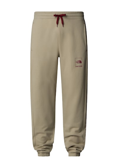 The North Face Erkek Coordınates Pantolon Nf0a89db1ı41 Gri