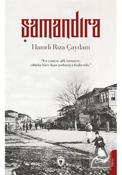 Şamandıra - Hamdi Rıza Çaydam - Dorlion Yayınevi