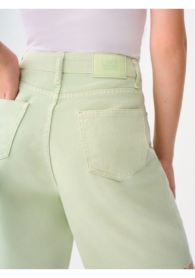 Regular Fit Kadın Şort Denim