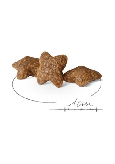Mini Adult Köpek Maması 2 Kg + 2 Adet Yaş Mama Hediye