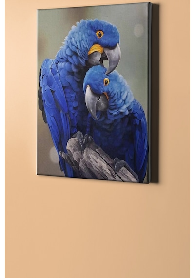 Webstyle Sayılarla Boyama Seti Kasnaklı Orman Mavisi Papağanlar 40 X 50 Cm