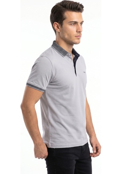 Raymons Erkek Polo Yaka Kısa Kollu Tişört Regular Kalıp T3000 Bgl-st05555 Açık Gri