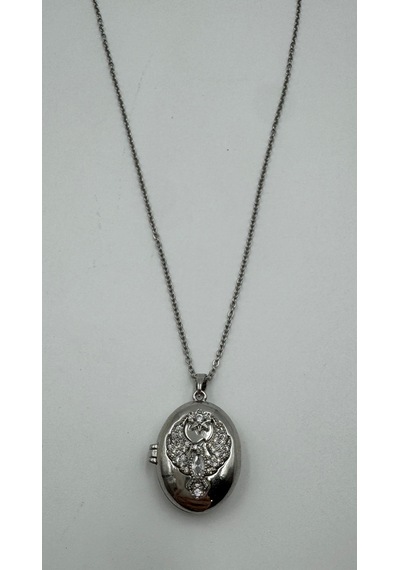 Anka Kuşu Detaylı Silver Secret Işıltılı Hatıra Gümüş Renk Taşlı Oval Açılır-kapanır Madalyon 316l Paslanmaz Çelik 40-45 Cm Kolye Renkli Anka Kuşu Detaylı Silver Secret Işıltılı Hatıra Gümüş Renk Taşlı Oval Açılır-kapanır Madalyon 316l Paslanmaz Çelik 40-45 Cm Kolye Renkli