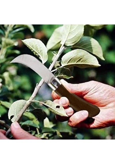 Aşı Bıçağı Eğri Uçlu Ara Çakı Bağ Bıçağı Paslanmaz Çelik Plastik Saplı Katlanır Bıçak 22 Cm