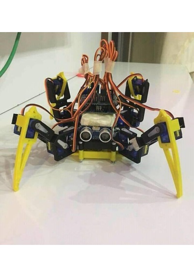 Örümcek Robot Çift Renk Tarantula