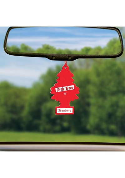 Little Trees Strawberry Çilek Aromalı Oto Kokusu 6 Adet