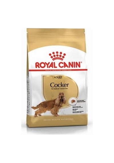 Cocker Spaniel Adult Yetişkin Köpek Maması 3 Kg