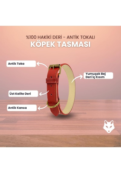 %100 Hakiki Deri - Antik Tokalı Köpek Tasması Yumuşak İç Katman, Dayanıklı Ve Şık Tasarım - G Kırmızı