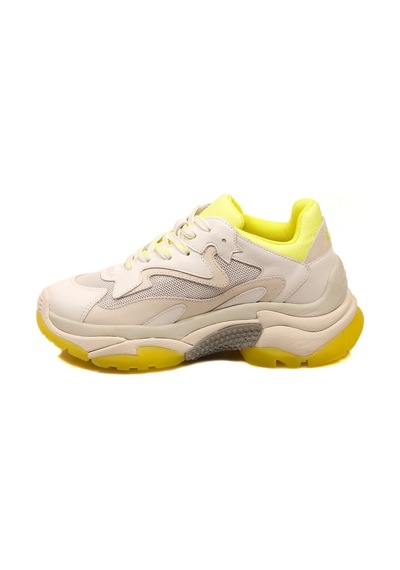Ash Bayan Sneaker Addict Beyaz