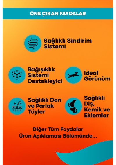 Kuzu Ve Pirinçli Yetişkin Köpek Maması Maintenance 3kg