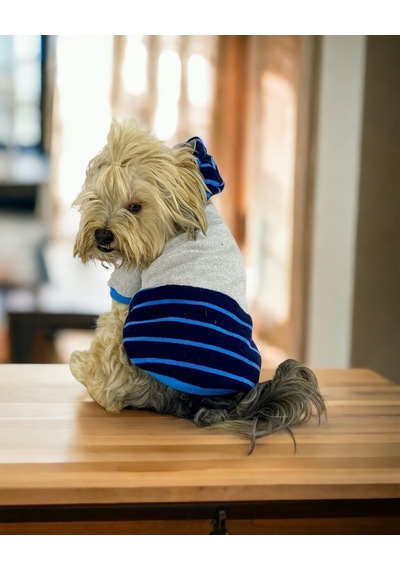 Blue Line Kapşonlu Sweatshirt Köpek Kıyafeti Köpek Elbisesi